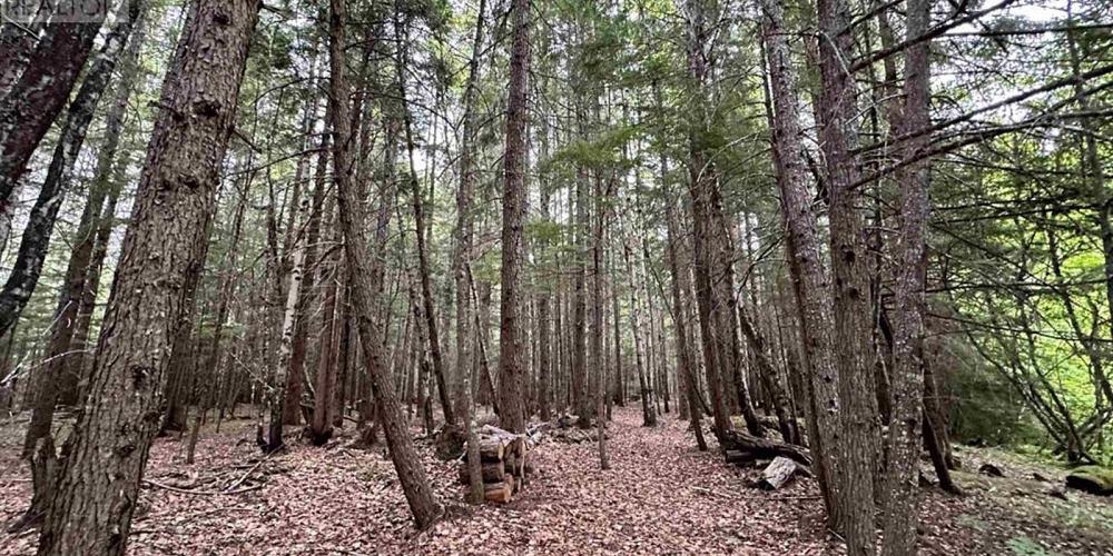 LOT C KALUM LAKE ROAD Terrace Photo 12 LOT C KALUM LAKE ROAD Terrace Photo 12